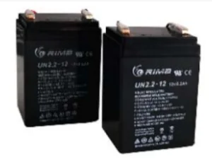  BATERÍA DE RESPALDO ACCESSMATIC